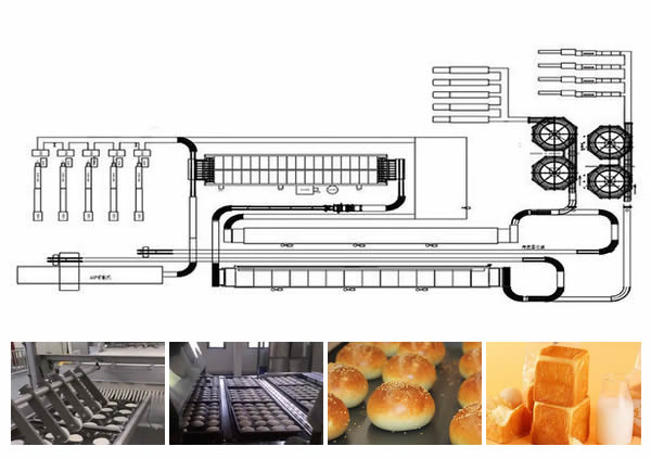 Bread Production Line