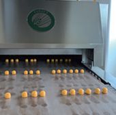 Bakery Production Lines