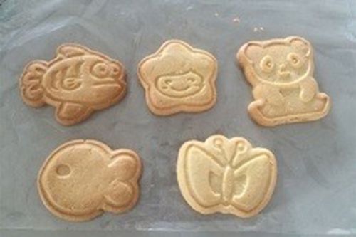 Biscuit Examples
