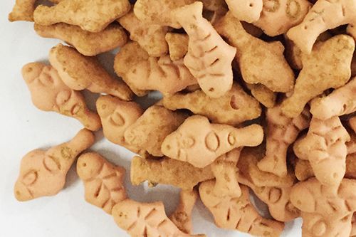 Biscuit Examples
